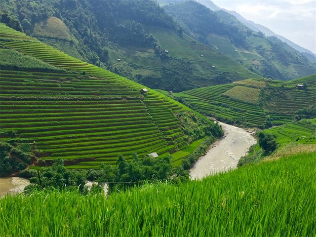 Ảnh chụp từ camera điện thoại iPhone 6